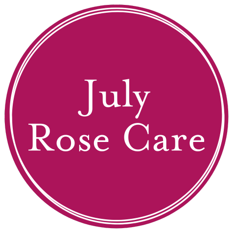 July Rose Care