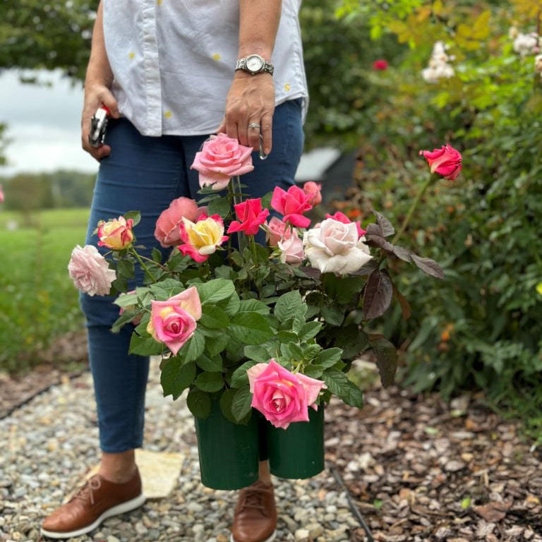 FL Bloomsaver