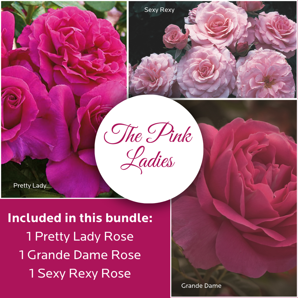 'The Pink Ladies' Bareroot Bundle