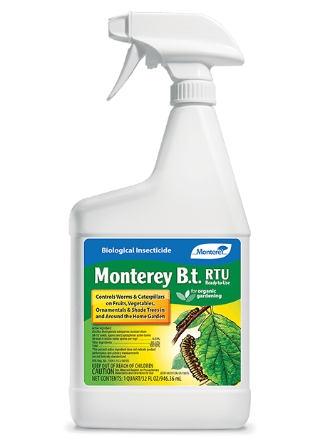 monterey bt