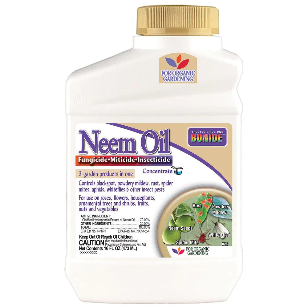 concentrate neem oil