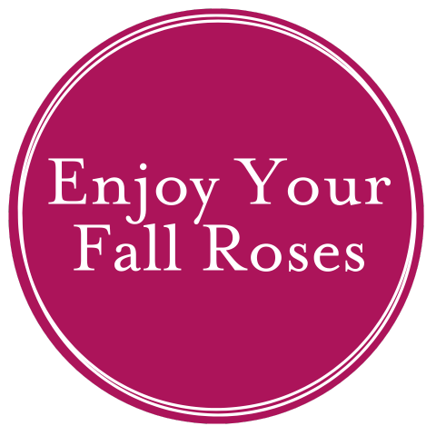 Fall Rose Care
