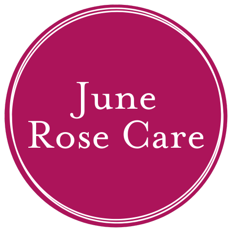 June Rose Care – Witherspoon Rose Culture