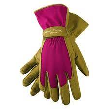 gloves