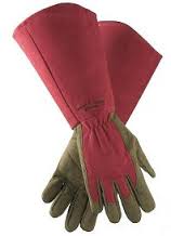 gloves